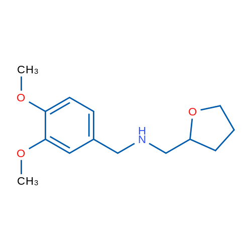 N-(3,4-Dimethoxybenzyl)-1-(tetrahydrofuran-2-yl)methanamine 1g