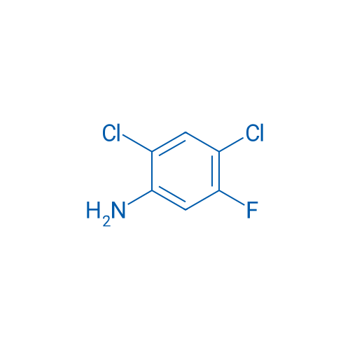2,4-Dichloro-5-fluoroaniline 1g