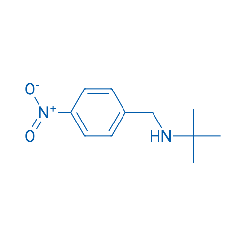N-(tert-Butyl)-n-(4-nitrobenzyl)amine 1g