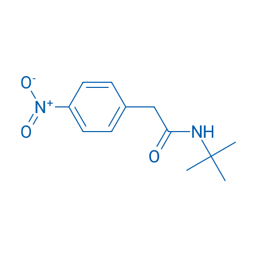 N-tert-Butyl-2-(4-nitrophenyl)acetamide 1g