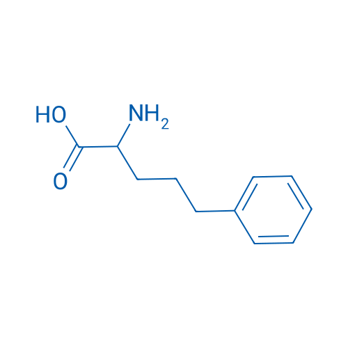 2-Amino-5-phenylpentanoic acid 250mg