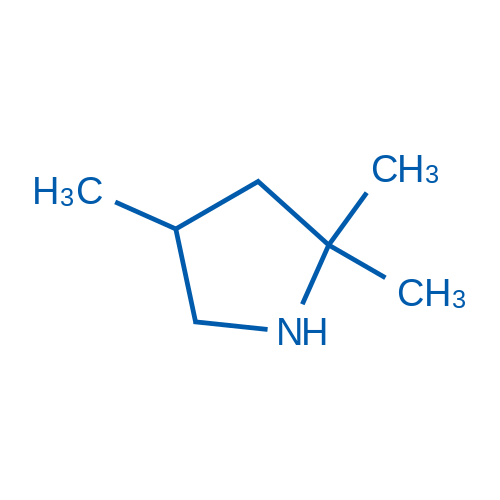 2,2,4-Trimethylpyrrolidine 50mg