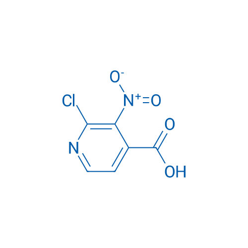 2-Chloro-3-nitroisonicotinic acid 1g
