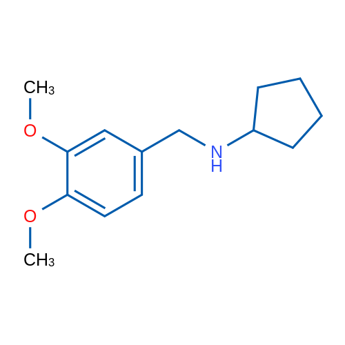 N-(3,4-Dimethoxybenzyl)cyclopentanamine 1g
