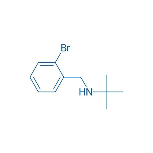 N-(2-Bromobenzyl)-2-methylpropan-2-amine 1g