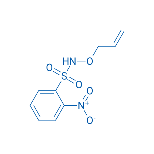 N-(Allyloxy)-2-nitrobenzenesulfonamide 10g