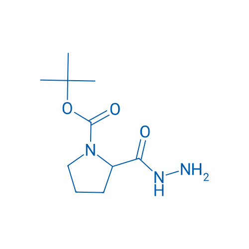tert-Butyl 2-(hydrazinecarbonyl)pyrrolidine-1-carboxylate 5g