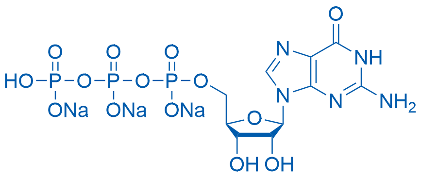 Guanosine 5'-triphosphate trisodium salt 5g