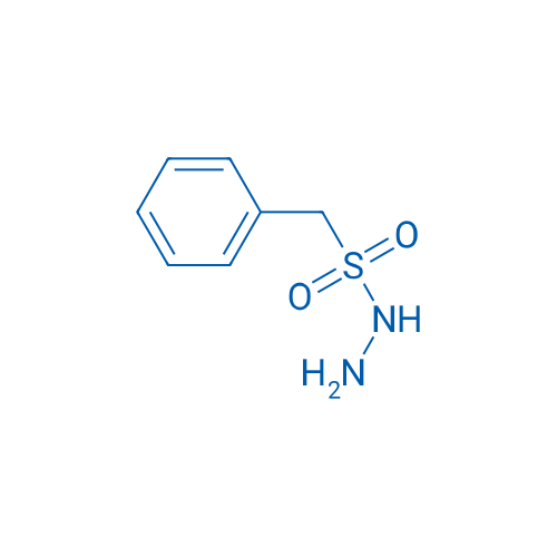 Phenylmethanesulfonohydrazide 1g
