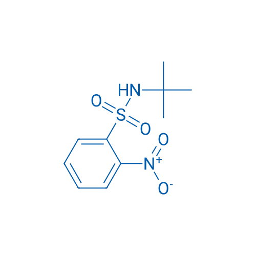 N-(tert-Butyl)-2-nitrobenzenesulfonamide 5g