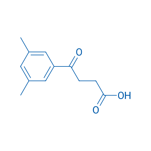 4-(3,5-Dimethylphenyl)-4-oxobutyric acid 1g