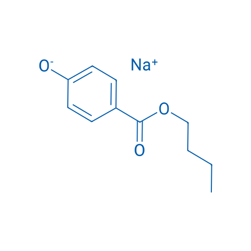 Butylparaben sodium 1000g