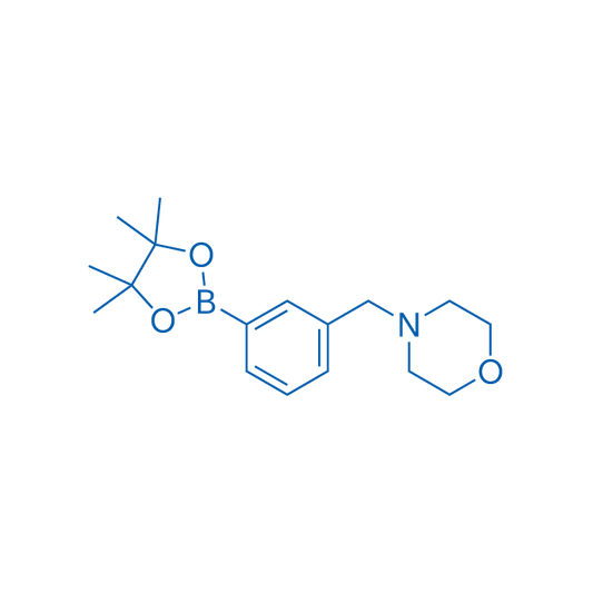 4-(3-(4,4,5,5-Tetramethyl-1,3,2-dioxaborolan-2-yl)benzyl)morpholine 1g