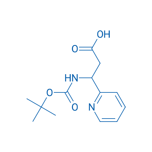 3-(tert-Butoxycarbonylamino)-3-(pyridin-2-yl)propanoic acid 1g