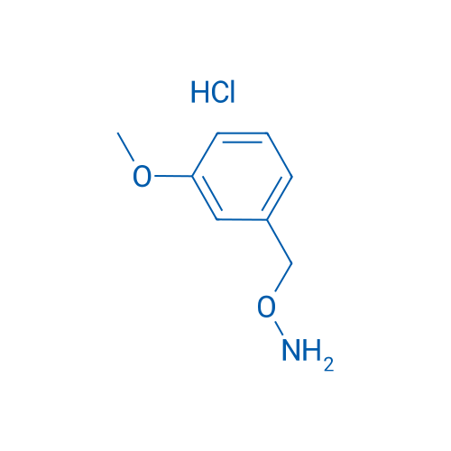 O-(3-Methoxybenzyl)hydroxylamine hydrochloride 250mg