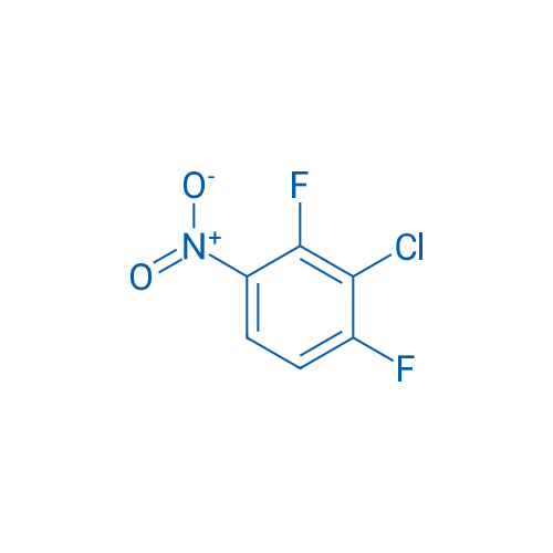 3-Chloro-2,4-difluoronitrobenzene 25g