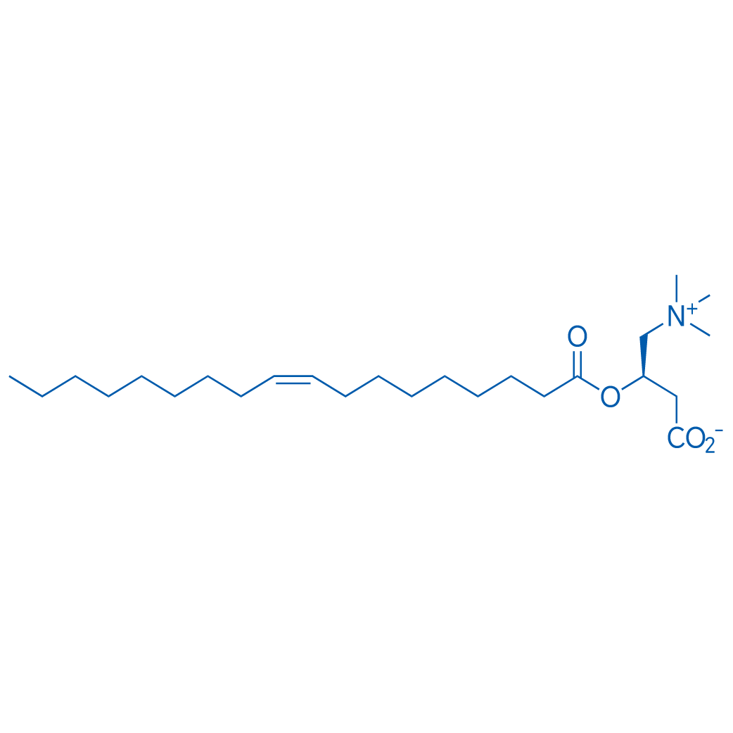 Oleoylcarnitine 10mg