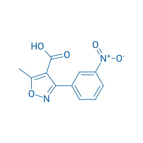 5-Methyl-3-(3-nitrophenyl)isoxazole-4-carboxylic acid 1g