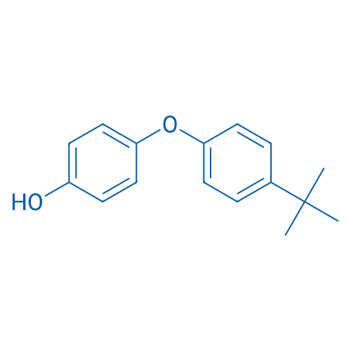 4-(4-tert-Butylphenoxy)phenol 1g