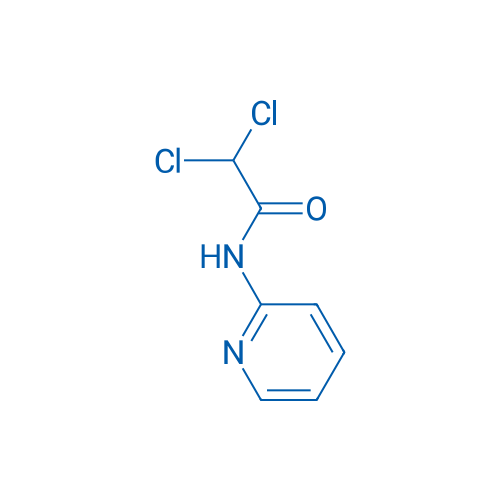 2,2-Dichloro-N-(pyridin-2-yl)acetamide 1g