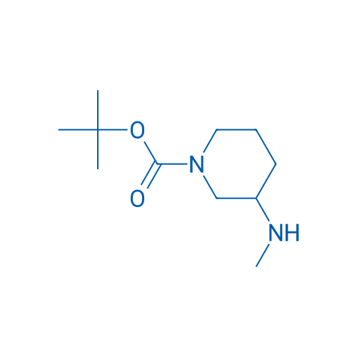 1-Boc-3-methylaminopieridine 10g