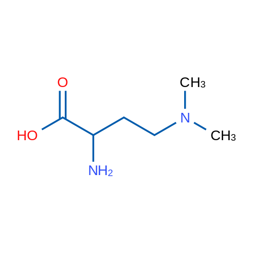 2-Amino-4-(dimethylamino)butanoic acid 1g