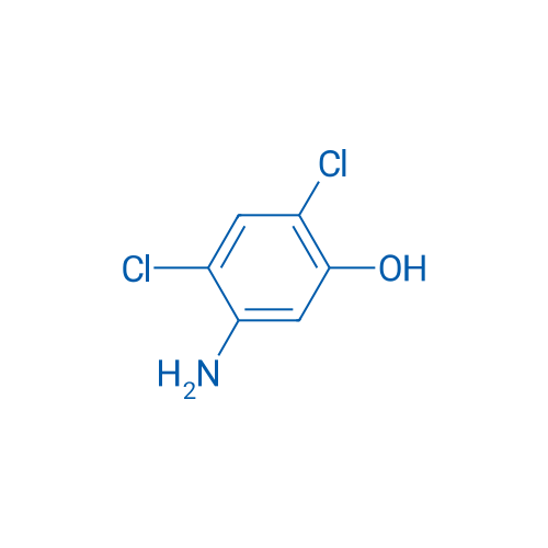 5-Amino-2,4-dichlorophenol 25g