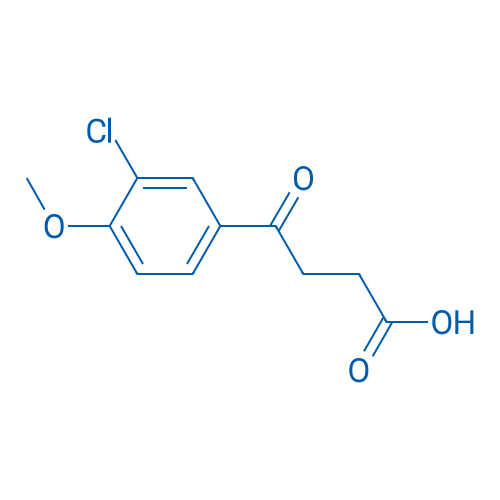 4-(3-Chloro-4-methoxyphenyl)-4-oxobutanoic acid 1g