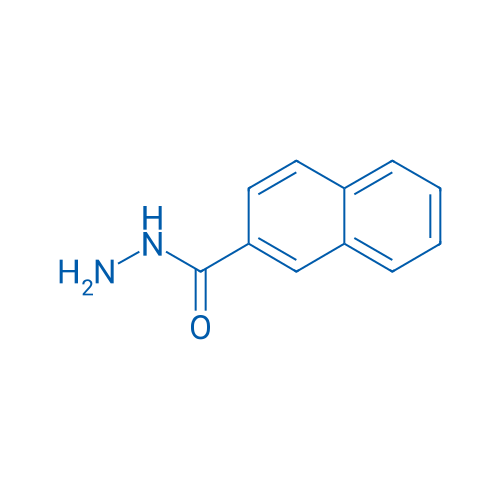 2-Naphthohydrazide 25g