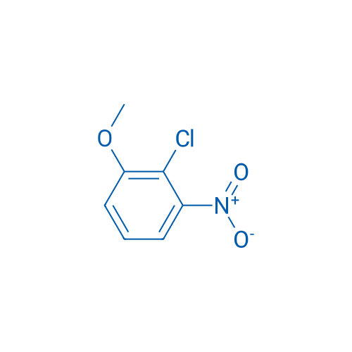2-Chloro-1-methoxy-3-nitrobenzene 1g