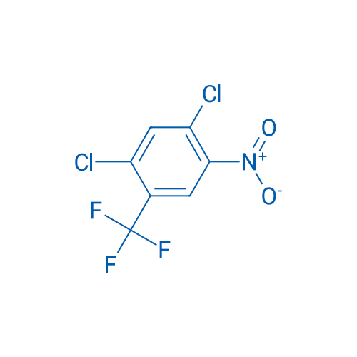 2,4-Dichloro-5-nitrobenzotrifluoride 100g