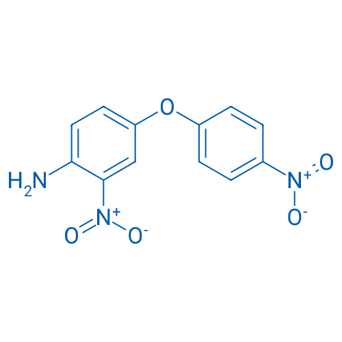 Benzenamine, 2-nitro-4-(4-nitrophenoxy)- 1g