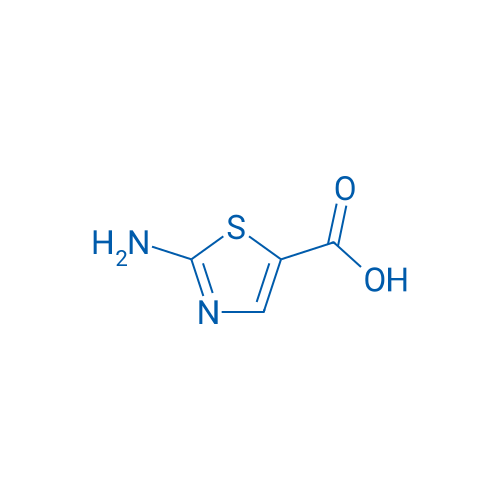 2-Aminothiazole-5-carboxylic acid 1g