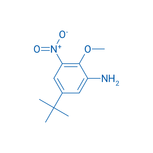 5-(tert-Butyl)-2-methoxy-3-nitroaniline 1g