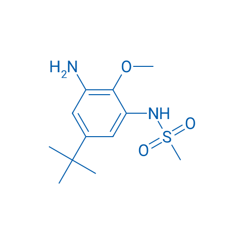 N-(3-Amino-5-(tert-butyl)-2-methoxyphenyl)methanesulfonamide 1g