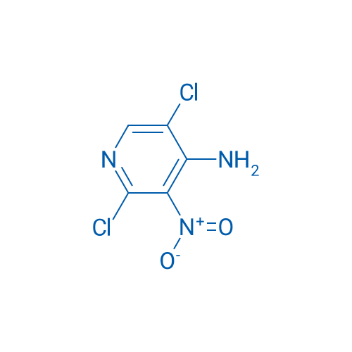 2,5-Dichloro-3-nitropyridin-4-amine 1g