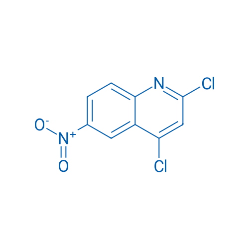 2,4-Dichloro-6-nitroquinoline 1g
