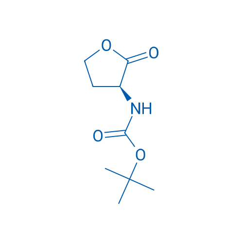 Boc-Hse-Lactone 100g