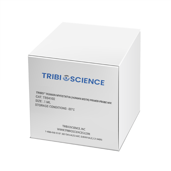 Tribo™ Human Myostatin (Human MSTN) Primer-Probe Mix