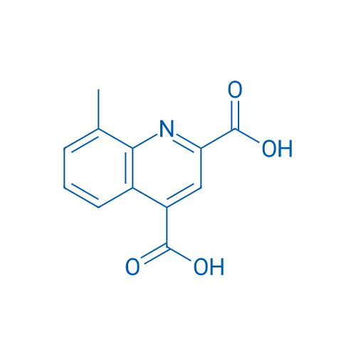 8-Methylquinoline-2,4-dicarboxylic acid 250mg