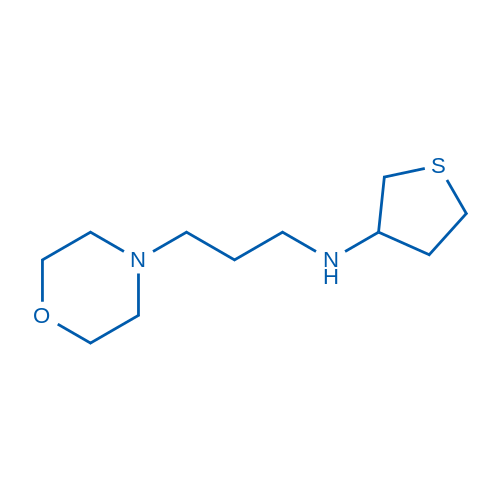 N-[3-(Morpholin-4-yl)propyl]thiolan-3-amine 1g