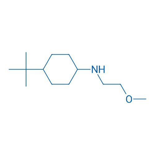4-(tert-Butyl)-N-(2-methoxyethyl)cyclohexan-1-amine 100mg