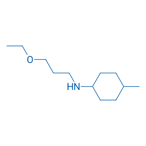N-(3-Ethoxypropyl)-4-methylcyclohexan-1-amine 1g