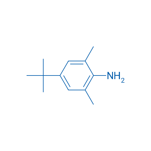 4-(tert-Butyl)-2,6-dimethylaniline 250mg