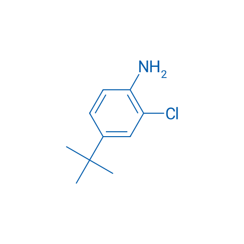 4-(tert-Butyl)-2-chloroaniline 1g