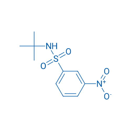 N-(tert-Butyl)-3-nitrobenzenesulfonamide 250mg