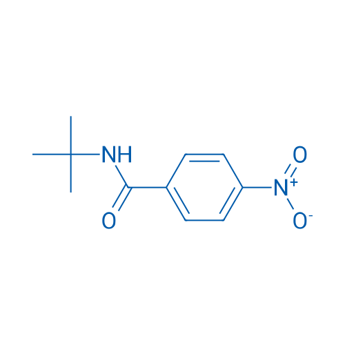N-tert-Butyl-4-nitro-benzamide 100g