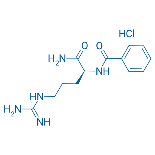 Bz-Arg-NH2 HCl 5g