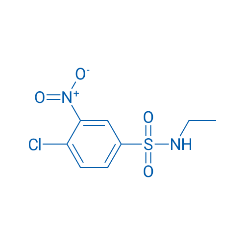 4-Chloro-N-ethyl-3-nitrobenzenesulfonamide 1g