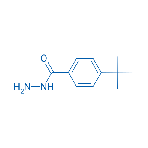 4-(tert-Butyl)benzohydrazide 100g